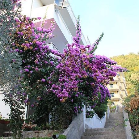 4M Apartments Petrovac Екстериор снимка